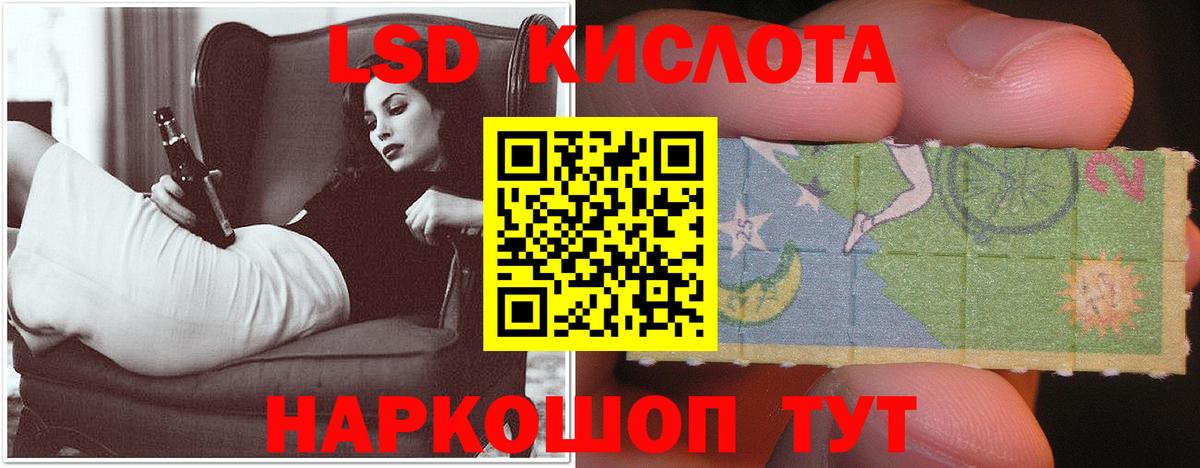 Галлюциногенные грибы Нурлат